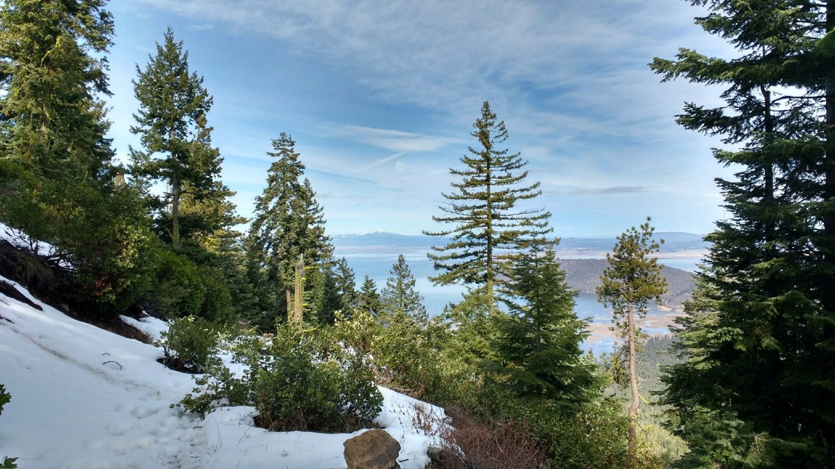 Global Warming = Beautiful Winter Day in&nbsp;Oregon