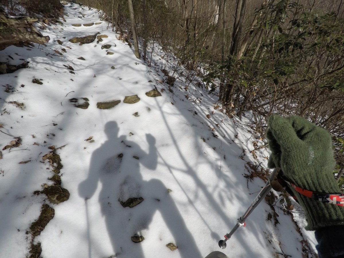 Me and My&nbsp;Shadow