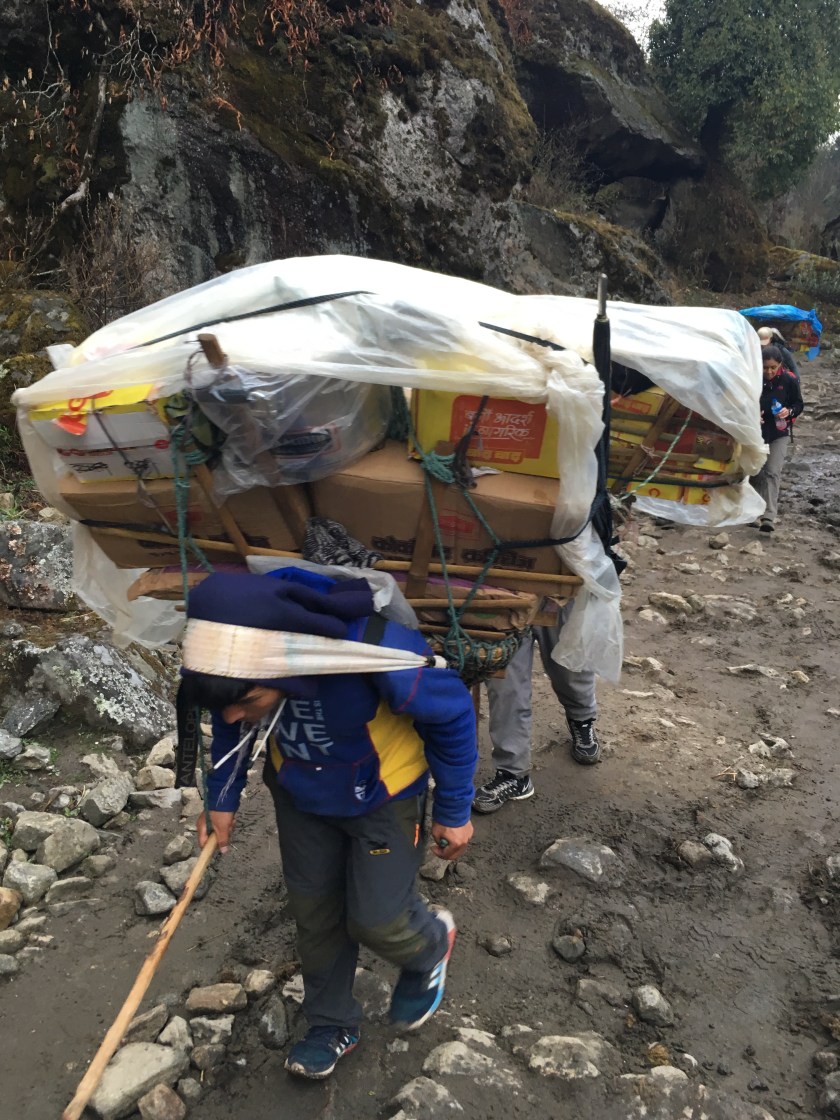 146493A7-979C-4CC3-9352-397BC3EED5BF