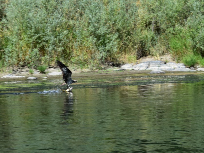 89BEF05E-43A1-43FD-B1A2-EB5A95881BD3