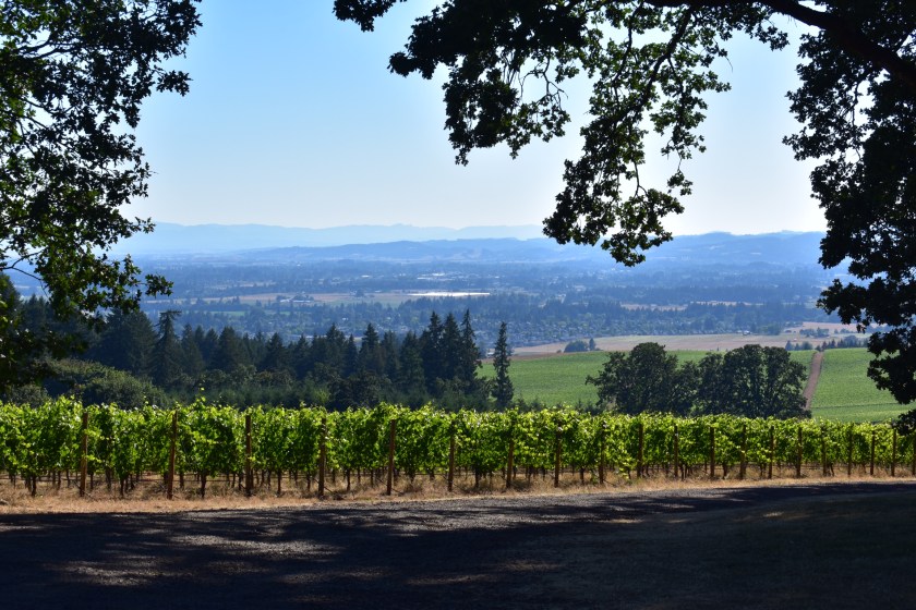 90ED462F-6C1B-47B8-998A-2591645F04BA