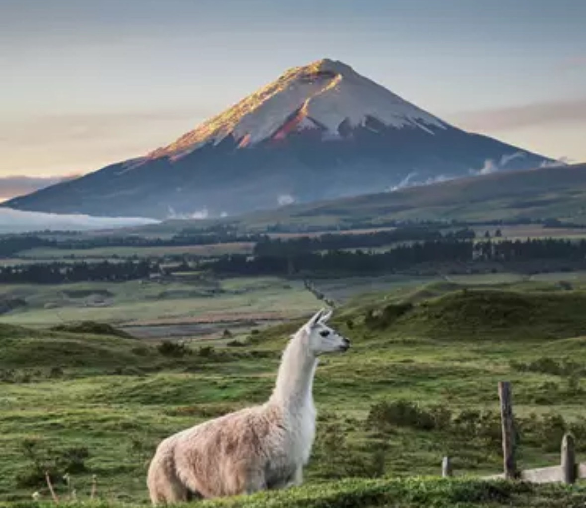 Eager to Experience&nbsp;Ecuador