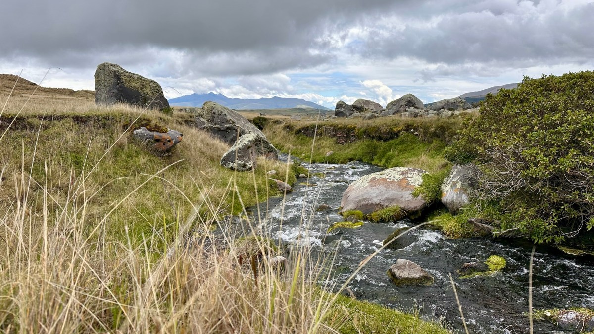 Day 7-8: Active Rest and Final&nbsp;Preps